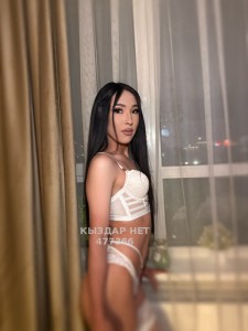 Транс Алматы Транс№477366 Миленда Фотография №3754996