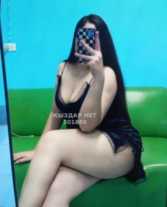 Проститутка Павлодара Анкета №501869 Фотография №3879427
